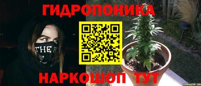 метадон Малгобек