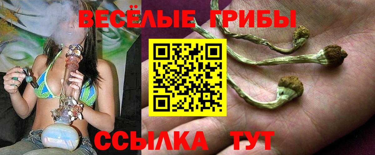 Псилоцибиновые грибы прущие грибы  Вход с VPN  Гуково  Галлюциногенные грибы прущие грибы 